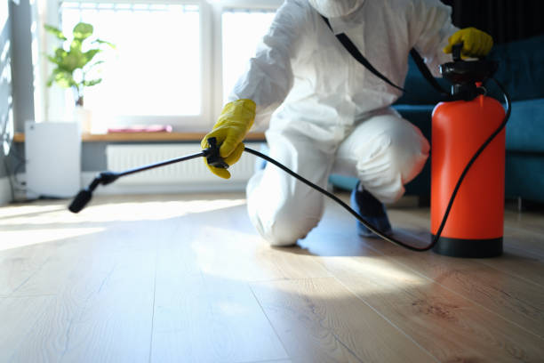 Reliable Blood Cleanup contractor in La Quinta, CA by Trauma Clean Pros